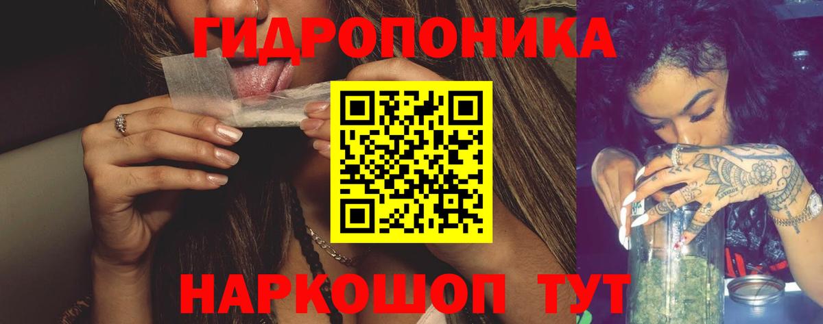 Каннабис Amnesia  МАРИХУАНА ГИДРОПОН  Каннабис планчик  Вход с VPN  Красноярск 
